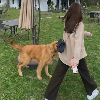 我的初恋女孩